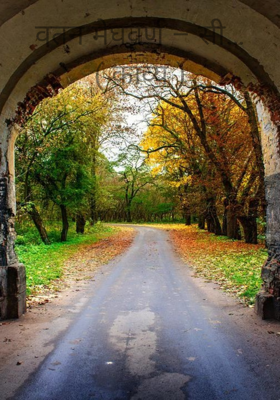 वतन मेघवर्ण – सी…