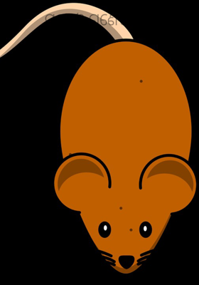 ମୂଷା ଓ ଗଣେଷପୂଜା