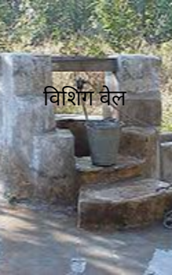 विशिंग वेल
