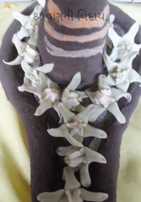 શ્રાવણની વિદાય