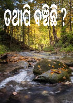 ତଥାପି ବଞ୍ଚିଛି ?