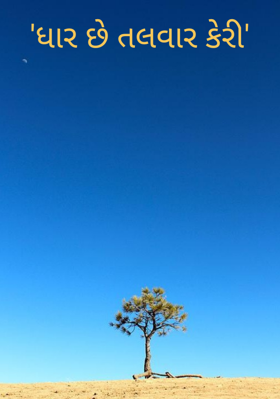 ધાર છે તલવાર કેરી