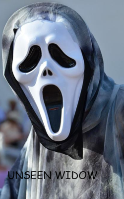 UNSEEN WIDOW 