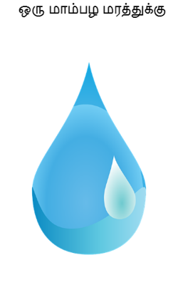 ஒரு மாம்பழ மரத்துக்கு