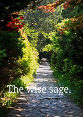 The Wise Sage