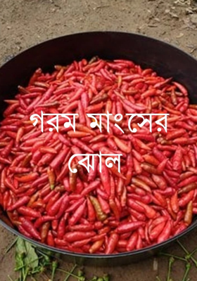 গরম মাংসের ঝোল