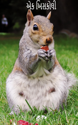 એક ખિસકોલી