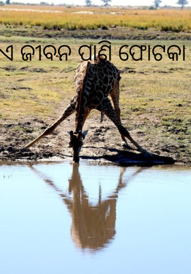 ଏ ଜୀବନ ପାଣି ଫୋଟକା