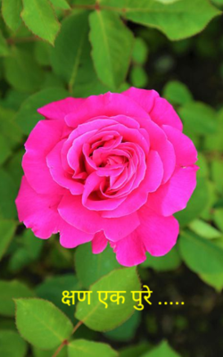 क्षण एक पुरे .....