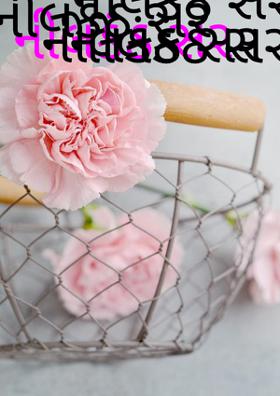 નીલકંઠ સર