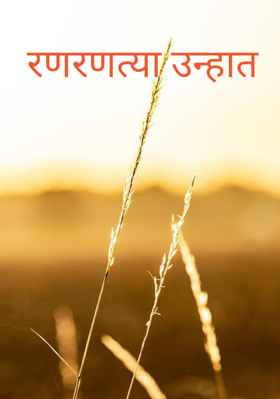 रणरणत्या उन्हात