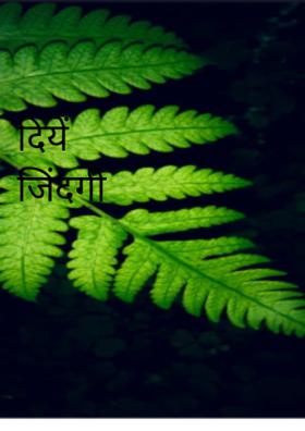 दीये जिंदगी के