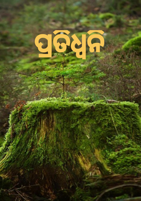 ପ୍ରତିଧ୍ବନି