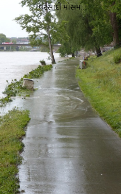 વરસાદી મોસમ