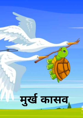 मुर्ख कासव