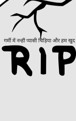 गर्मी में नन्हीं प्यासी चिड़िया और हम खुद