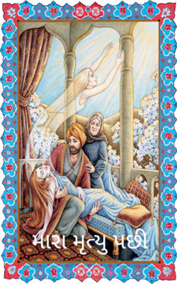 મારા મૃત્યુ પછી