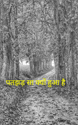 पतझड़ सा क्यों हुआ है