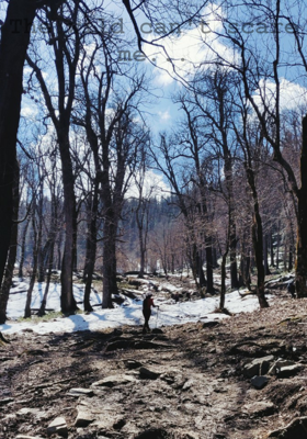 The wild can't scare me...