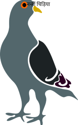 नन्हीं चिड़िया