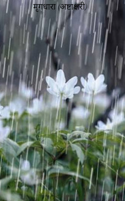 मृगधारा (अष्टाक्षरी)