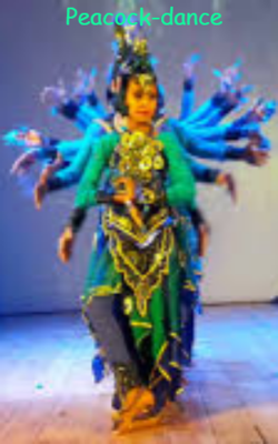 Peacock-dance