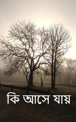 কি আসে যায়