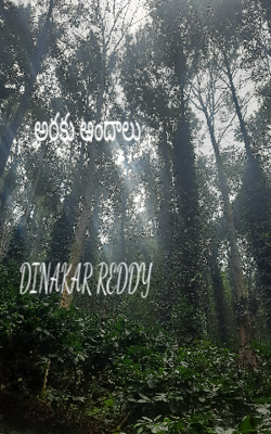 అరకు అందాలు