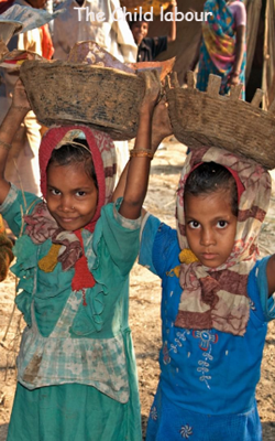 The Child Labour