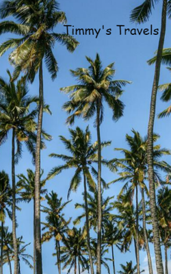 Timmy's Travels