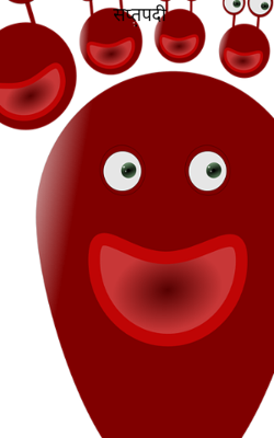 सप्तपदी