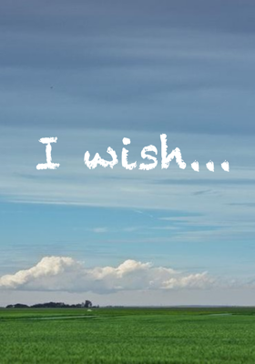 I wish...