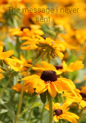 The message i never sent