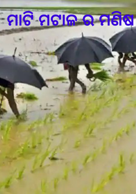 ମାଟି ମଟାଳର ମଣିଷ