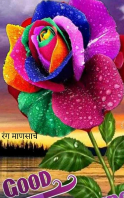 रंग माणसाचे