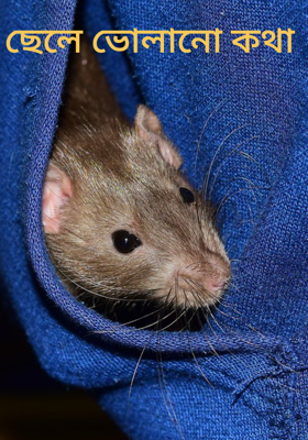 ছেলে ভোলানো কথা 