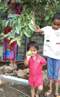 થોમસ આલ્વા એડિસનના મા