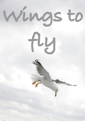 Wings to fly