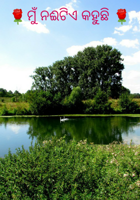 ମୁଁ ନଈଟିଏ କହୁଛି