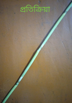 প্রতিক্রিয়া