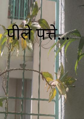 पीले पत्ते...