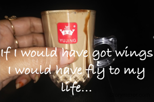 If I would have got wings I would have fly to my life...