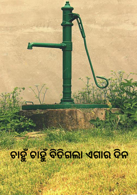 ଚାହୁଁ ଚାହୁଁ ବିତିଗଲା ଏଗାର ଦିନ