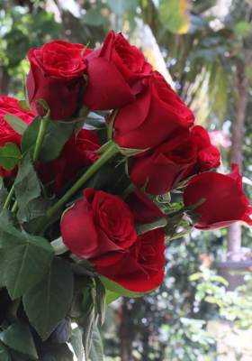 हमारी प्रिंसिपल मैडम की यादगार डांट 