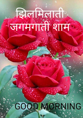 झिलमिलाती जगमगाती शाम