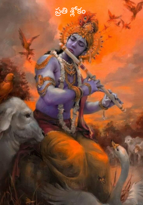 ప్రతి శ్లోకం