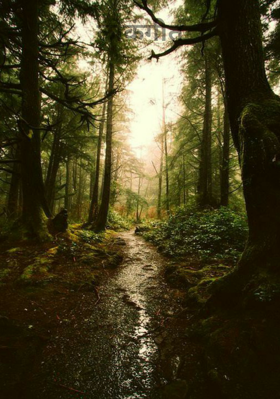 लोकगीतं