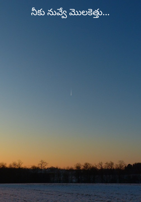 నీకు నువ్వే మొలకెత్తు...