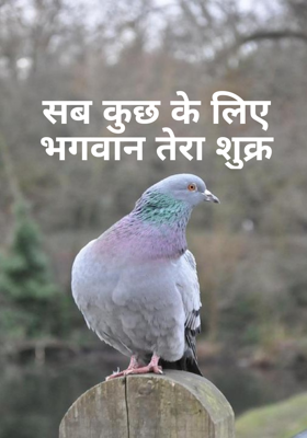 सब कुछ के लिए भगवान तेरा शुक्र