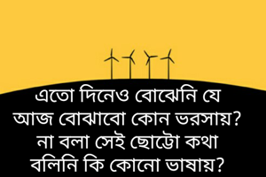 এতো দিনেও বোঝেনি যে
আজ বোঝাবো কোন ভরসায়?
না বলা সেই ছোট্টো কথা
বলিনি কি কোনো ভাষায়?